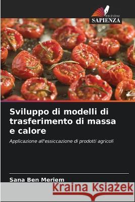 Sviluppo di modelli di trasferimento di massa e calore Sana Ben Meriem   9786205984338