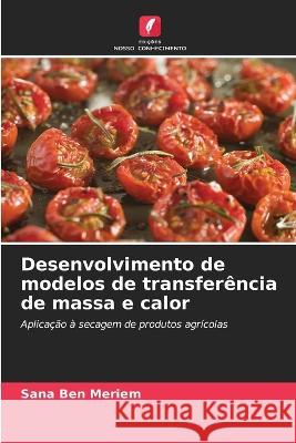 Desenvolvimento de modelos de transferencia de massa e calor Sana Ben Meriem   9786205984345 Edicoes Nosso Conhecimento