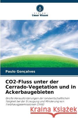 CO2-Fluss unter der Cerrado-Vegetation und in Ackerbaugebieten Paulo Goncalves   9786205995679