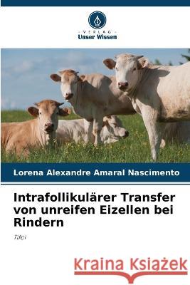 Intrafollikularer Transfer von unreifen Eizellen bei Rindern Lorena Alexandre Amaral Nascimento   9786206014546