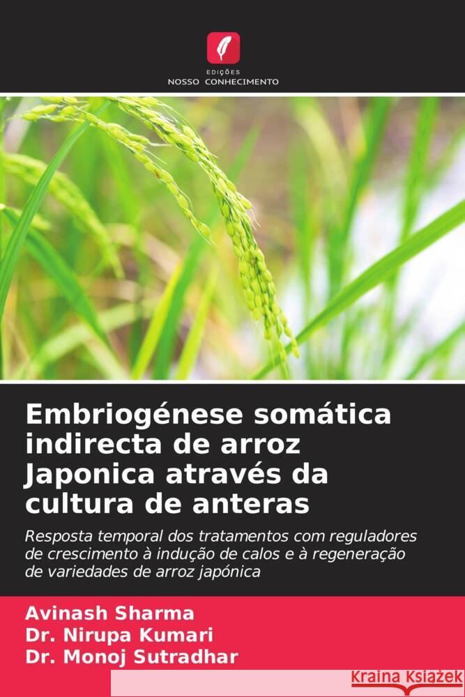 Embriogenese somatica indirecta de arroz Japonica atraves da cultura de anteras Avinash Sharma Dr Nirupa Kumari Dr Monoj Sutradhar 9786206037293