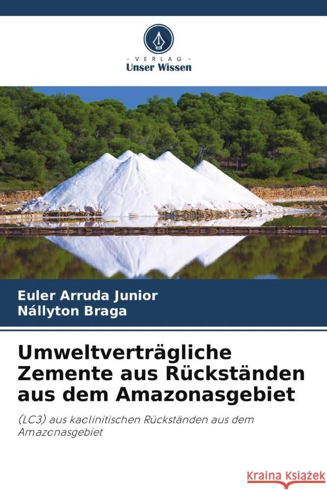 Umweltvertragliche Zemente aus Ruckstanden aus dem Amazonasgebiet Euler Arruda Junior Nallyton Braga  9786206054986