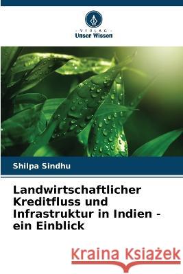 Landwirtschaftlicher Kreditfluss und Infrastruktur in Indien - ein Einblick Shilpa Sindhu   9786206085126