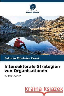 Intersektorale Strategien von Organisationen Patricia Monteiro Gorni   9786206093459