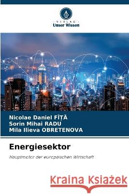 Energiesektor Nicolae Daniel FiȚĂ Sorin Mihai Radu Mila Ilieva Obretenova 9786206110705