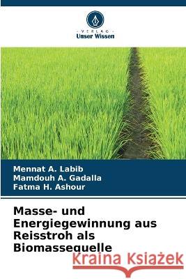 Masse- und Energiegewinnung aus Reisstroh als Biomassequelle Mennat A Labib Mamdouh A Gadalla Fatma H Ashour 9786206111207