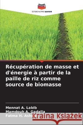 Recuperation de masse et d'energie a partir de la paille de riz comme source de biomasse Mennat A Labib Mamdouh A Gadalla Fatma H Ashour 9786206111221