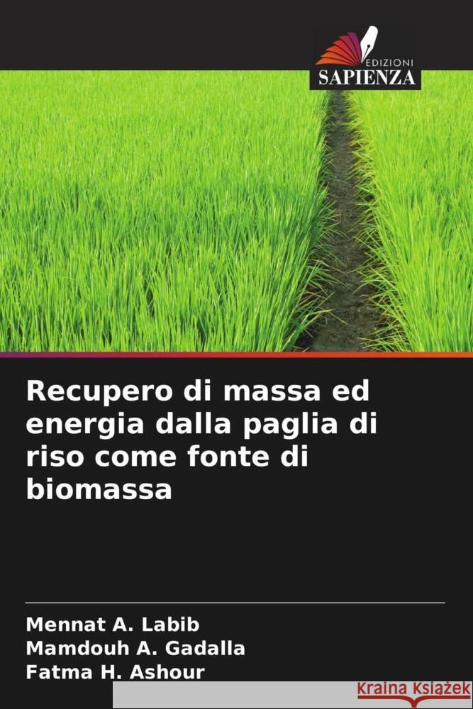 Recupero di massa ed energia dalla paglia di riso come fonte di biomassa Mennat A Labib Mamdouh A Gadalla Fatma H Ashour 9786206111238