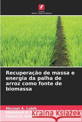 Recuperacao de massa e energia da palha de arroz como fonte de biomassa Mennat A Labib Mamdouh A Gadalla Fatma H Ashour 9786206111245