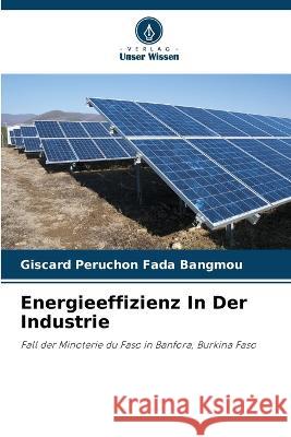 Energieeffizienz In Der Industrie Giscard Peruchon Fada Bangmou   9786206114192 Verlag Unser Wissen