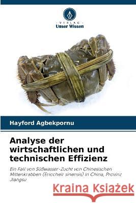 Analyse der wirtschaftlichen und technischen Effizienz Hayford Agbekpornu   9786206118749