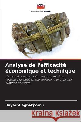 Analyse de l'efficacite economique et technique Hayford Agbekpornu   9786206118756