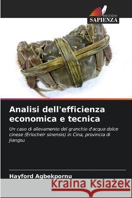 Analisi dell'efficienza economica e tecnica Hayford Agbekpornu   9786206118770