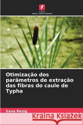 Otimizacao dos parametros de extracao das fibras do caule de Typha Sana Rezig   9786206121404