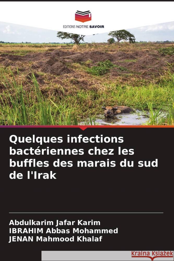 Quelques infections bacteriennes chez les buffles des marais du sud de l'Irak Abdulkarim Jafar Karim Ibrahim Abbas Mohammed Jenan Mahmood Khalaf 9786206126652