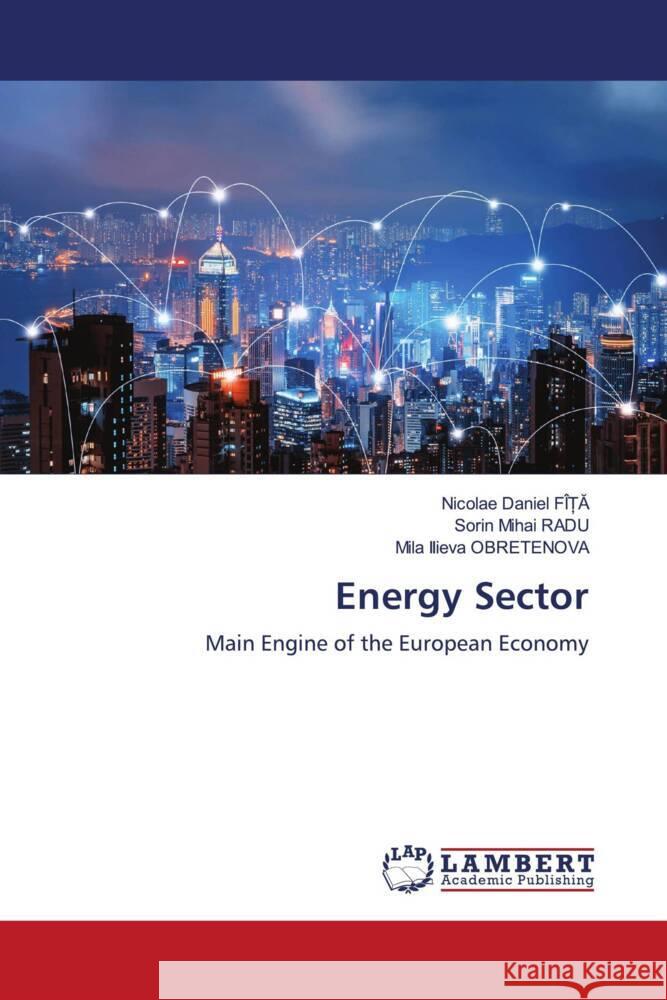 Energy Sector FÎ_A, Nicolae Daniel, Radu, Sorin Mihai, Obretenova, Mila Ilieva 9786206163947 LAP Lambert Academic Publishing