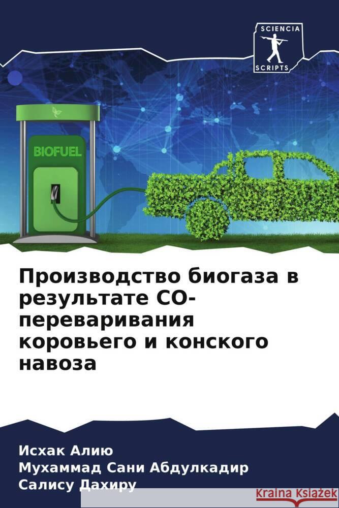 Proizwodstwo biogaza w rezul'tate CO-perewariwaniq korow'ego i konskogo nawoza Aliü, Ishak, Abdulkadir, Muhammad Sani, Dahiru, Salisu 9786206186946