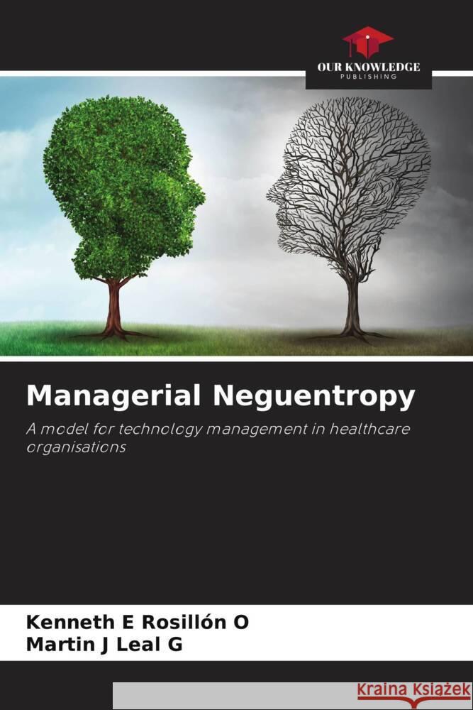 Managerial Neguentropy Rosillón O, Kenneth E, Leal G, Martin J 9786206189602