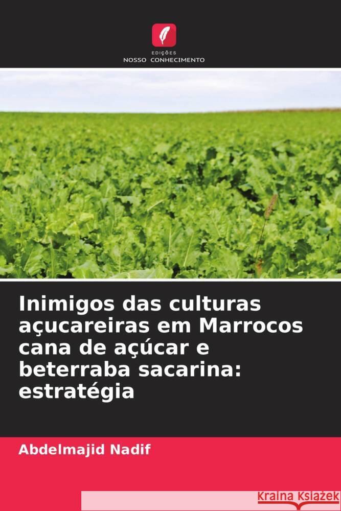 Inimigos das culturas acucareiras em Marrocos cana de acucar e beterraba sacarina: estrategia Abdelmajid Nadif   9786206191216 Edicoes Nosso Conhecimento