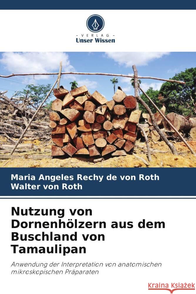 Nutzung von Dornenhölzern aus dem Buschland von Tamaulipan Rechy de von Roth, Maria Angeles, von Roth, Walter 9786206257745