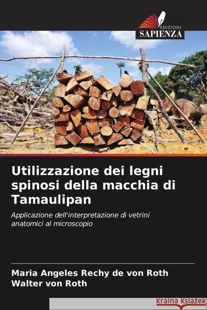 Utilizzazione dei legni spinosi della macchia di Tamaulipan Rechy de von Roth, Maria Angeles, von Roth, Walter 9786206257783