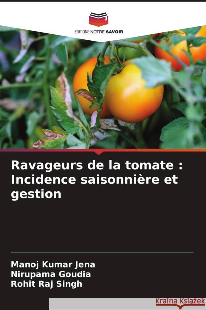 Ravageurs de la tomate : Incidence saisonnière et gestion JENA, MANOJ KUMAR, GOUDIA, NIRUPAMA, Singh, Rohit Raj 9786206267782