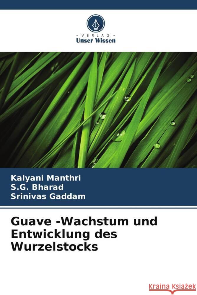 Guave -Wachstum und Entwicklung des Wurzelstocks Manthri, Kalyani, Bharad, S.G., Gaddam, Srinivas 9786206301301