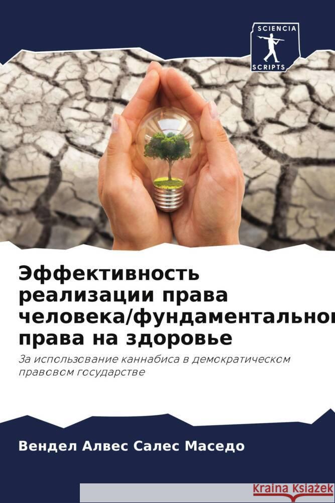 Jeffektiwnost' realizacii prawa cheloweka/fundamental'nogo prawa na zdorow'e Alwes Sales Masedo, Vendel 9786206323907 Sciencia Scripts