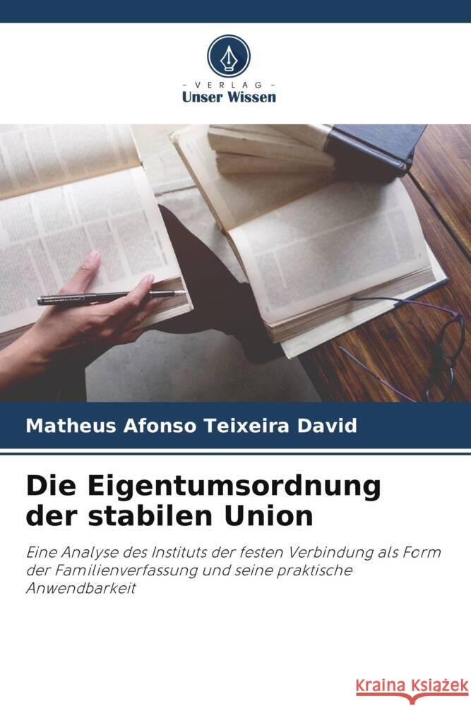 Die Eigentumsordnung der stabilen Union Teixeira David, Matheus Afonso 9786206325680