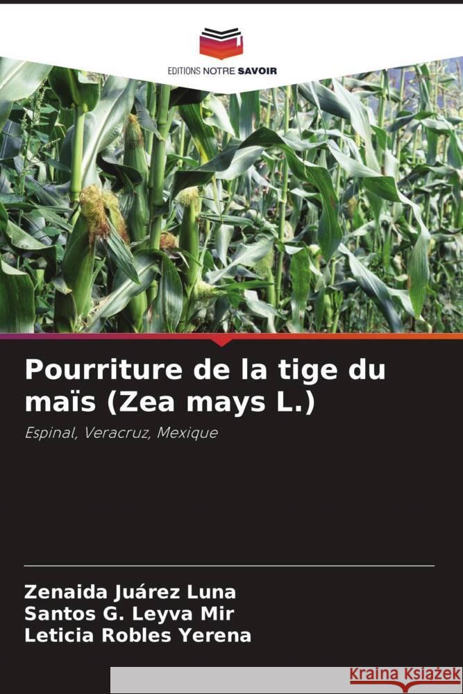 Pourriture de la tige du maïs (Zea mays L.) Juárez Luna, Zenaida, Leyva Mir, Santos G., Robles Yerena, Leticia 9786206330653