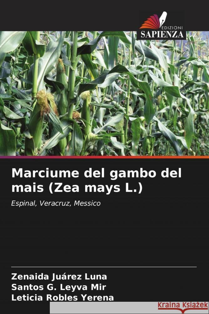 Marciume del gambo del mais (Zea mays L.) Juárez Luna, Zenaida, Leyva Mir, Santos G., Robles Yerena, Leticia 9786206330660