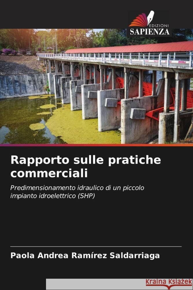 Rapporto sulle pratiche commerciali Ramírez Saldarriaga, Paola Andrea 9786206339595