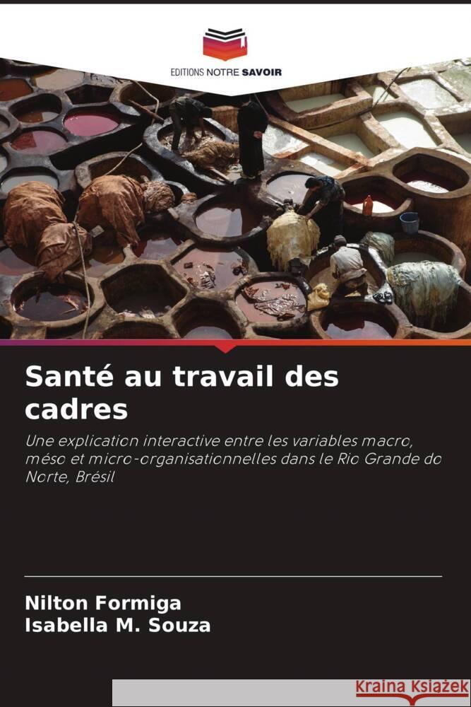 Santé au travail des cadres Formiga, Nilton, Souza, Isabella M. 9786206346883