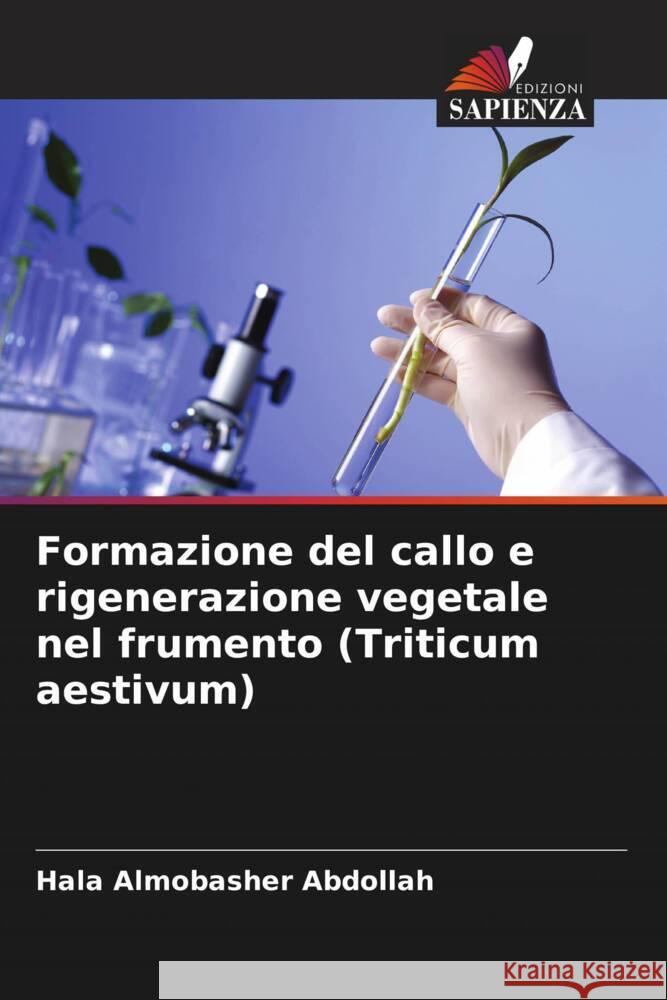 Formazione del callo e rigenerazione vegetale nel frumento (Triticum aestivum) Abdollah, Hala Almobasher 9786206377610 Edizioni Sapienza