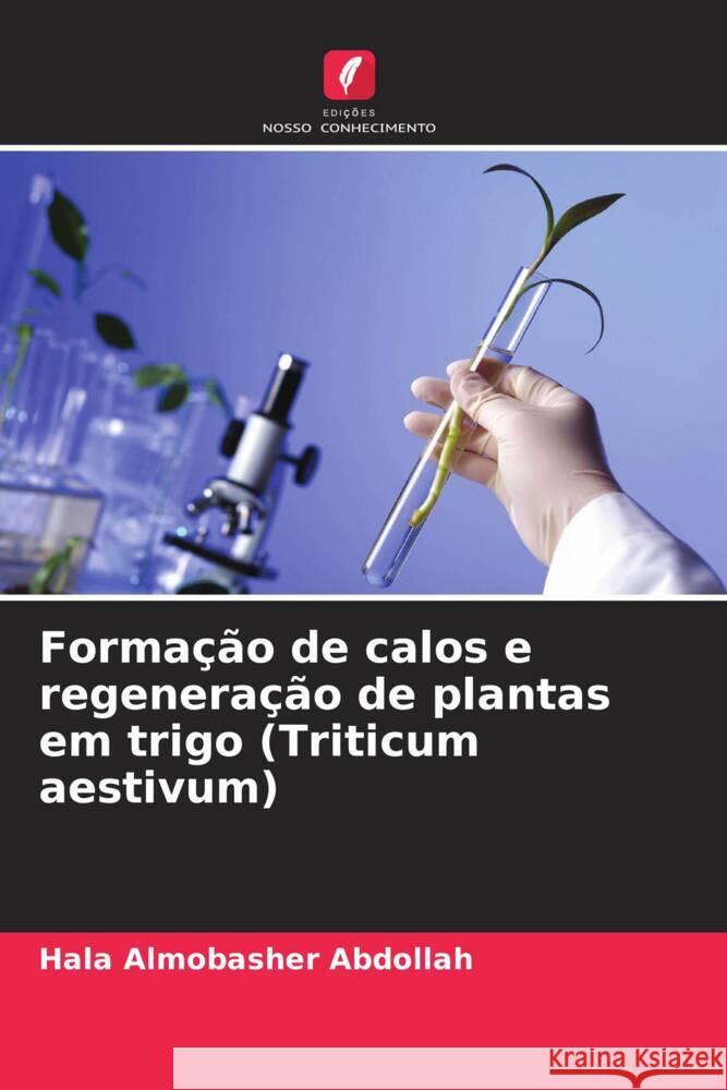 Formação de calos e regeneração de plantas em trigo (Triticum aestivum) Abdollah, Hala Almobasher 9786206377627 Edições Nosso Conhecimento