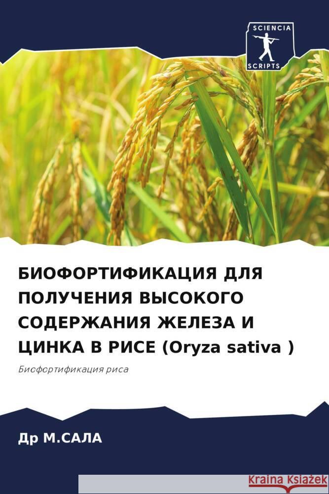 BIOFORTIFIKACIYa DLYa POLUChENIYa VYSOKOGO SODERZhANIYa ZhELEZA I CINKA V RISE (Oryza sativa ) M.SALA, Dr 9786206385301