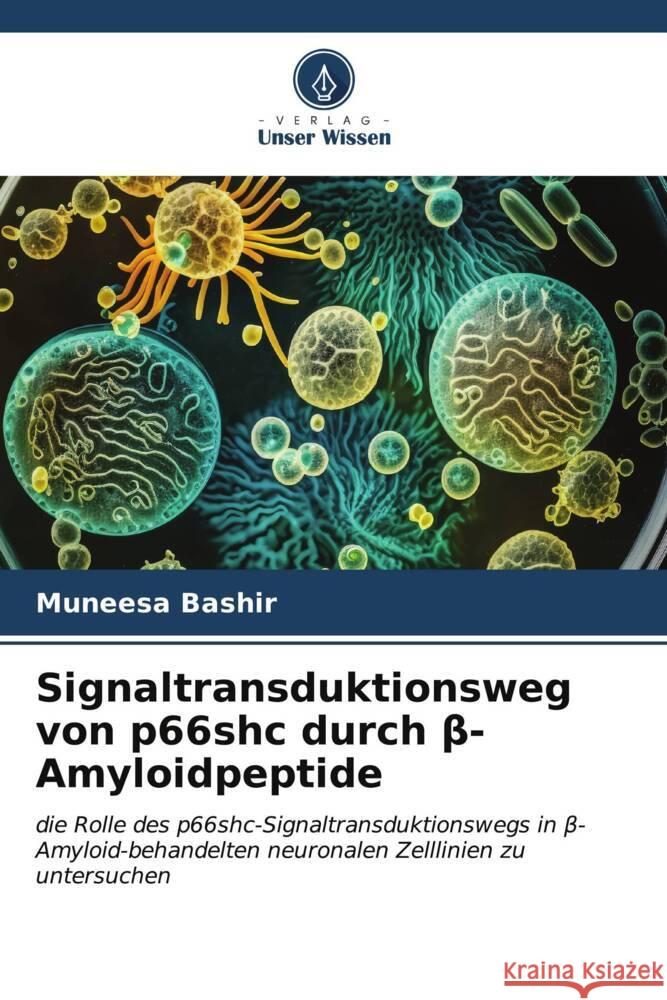 Signaltransduktionsweg von p66shc durch β-Amyloidpeptide Muneesa Bashir 9786206388623