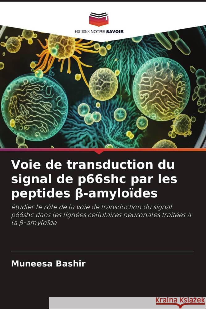 Voie de transduction du signal de p66shc par les peptides beta-amyloïdes Bashir, Muneesa 9786206388647