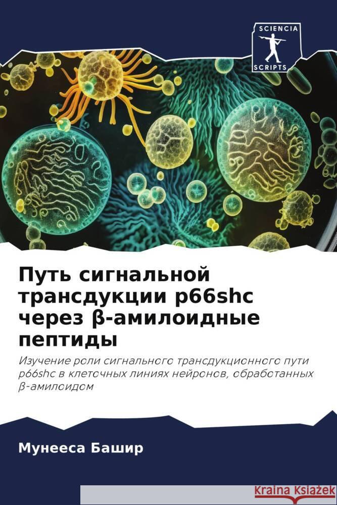 Put' signal'noj transdukcii p66shc cherez beta-amiloidnye peptidy Bashir, Muneesa 9786206388678