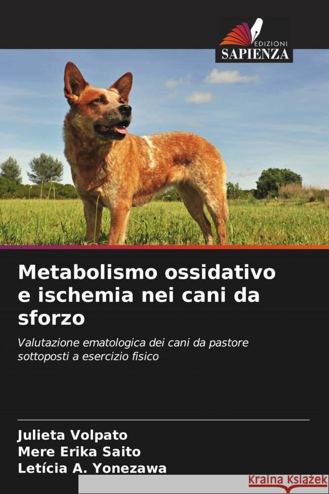 Metabolismo ossidativo e ischemia nei cani da sforzo Volpato, Julieta, Erika Saito, Mere, Yonezawa, Letícia A. 9786206391487