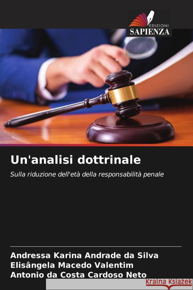 Un'analisi dottrinale Andrade da Silva, Andressa Karina, Valentim, Elisângela Macedo, Cardoso Neto, Antonio da Costa 9786206394945