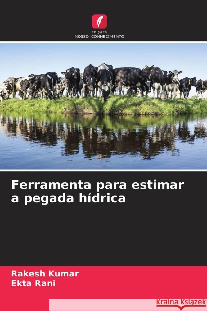 Ferramenta para estimar a pegada hídrica Kumar, Rakesh, Rani, Ekta 9786206397069 Edições Nosso Conhecimento