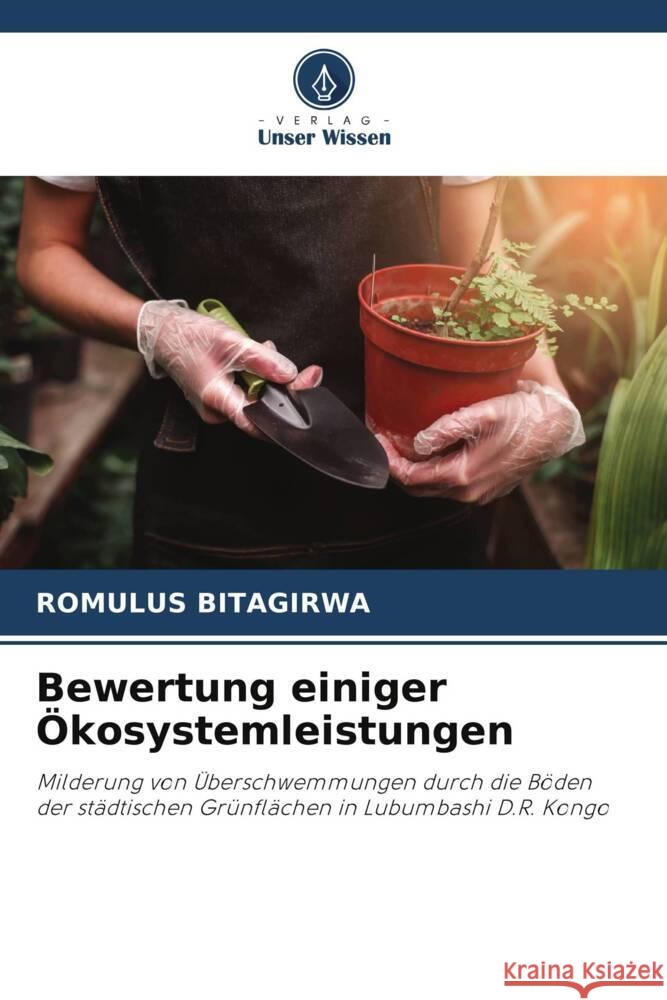 Bewertung einiger Ökosystemleistungen BITAGIRWA, ROMULUS 9786206401070