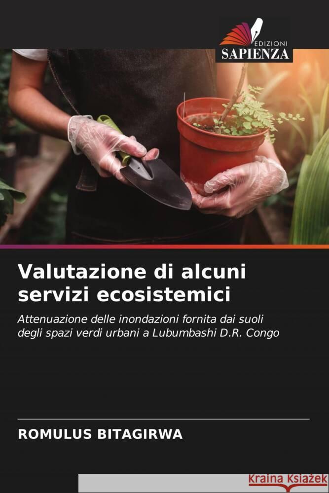 Valutazione di alcuni servizi ecosistemici BITAGIRWA, ROMULUS 9786206401100