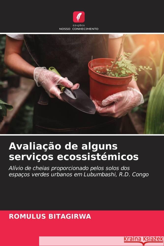 Avaliação de alguns serviços ecossistémicos BITAGIRWA, ROMULUS 9786206401117