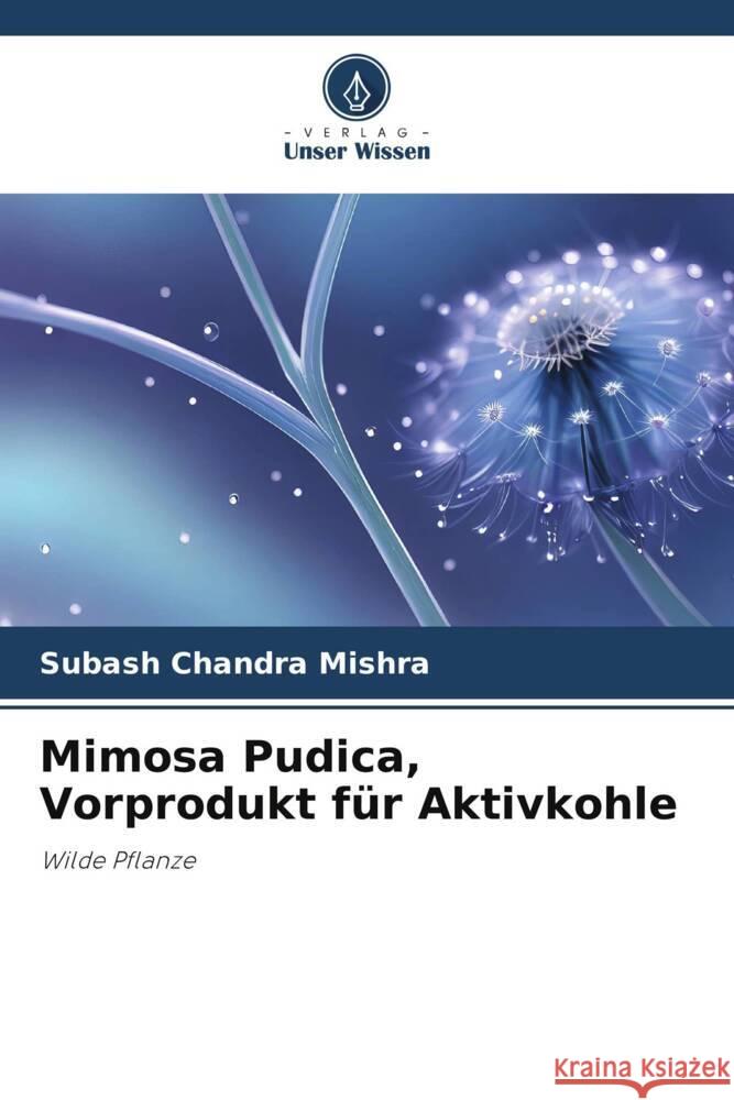 Mimosa Pudica, Vorprodukt für Aktivkohle Mishra, Subash Chandra 9786206405498 Verlag Unser Wissen