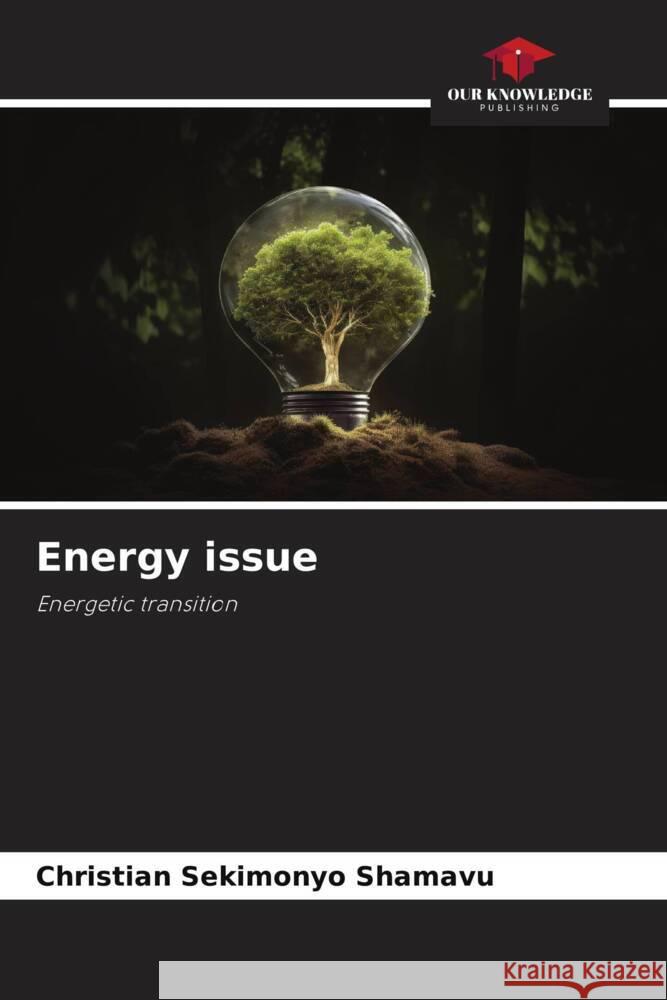 Energy issue SEKIMONYO SHAMAVU, Christian 9786206406198