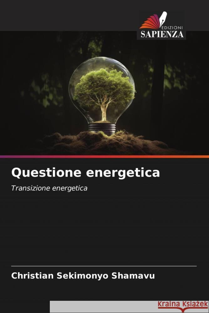 Questione energetica SEKIMONYO SHAMAVU, Christian 9786206406228