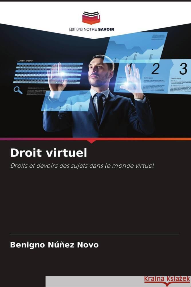 Droit virtuel Núñez Novo, Benigno 9786206417002