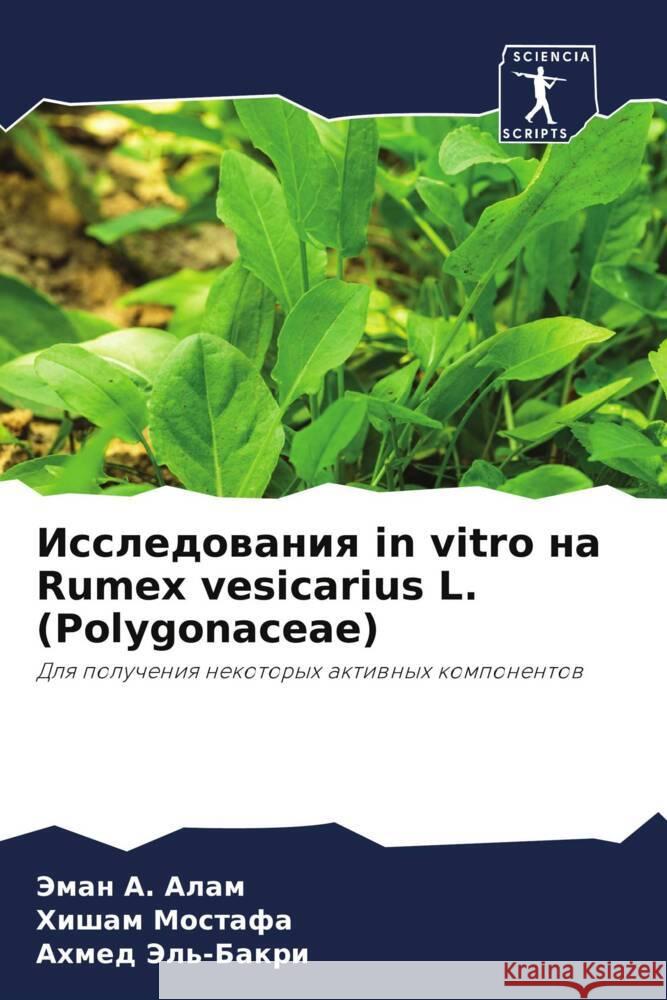 Issledowaniq in vitro na Rumex vesicarius L. (Polygonaceae) Alam, Jeman A., Mostafa, Hisham, Jel'-Bakri, Ahmed 9786206420033